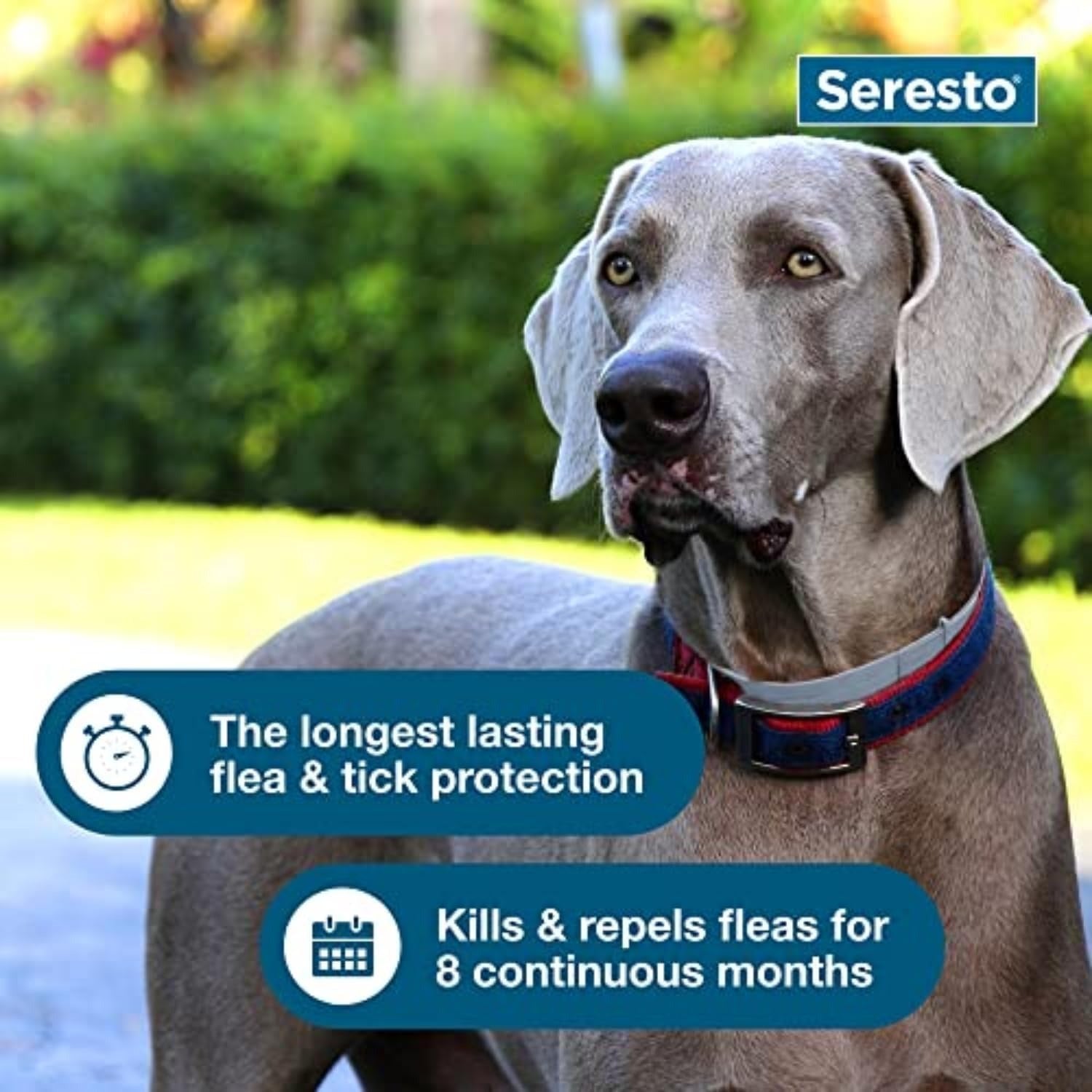 Seresto Large Dog Vet-Recommended Flea & Tick Treatment