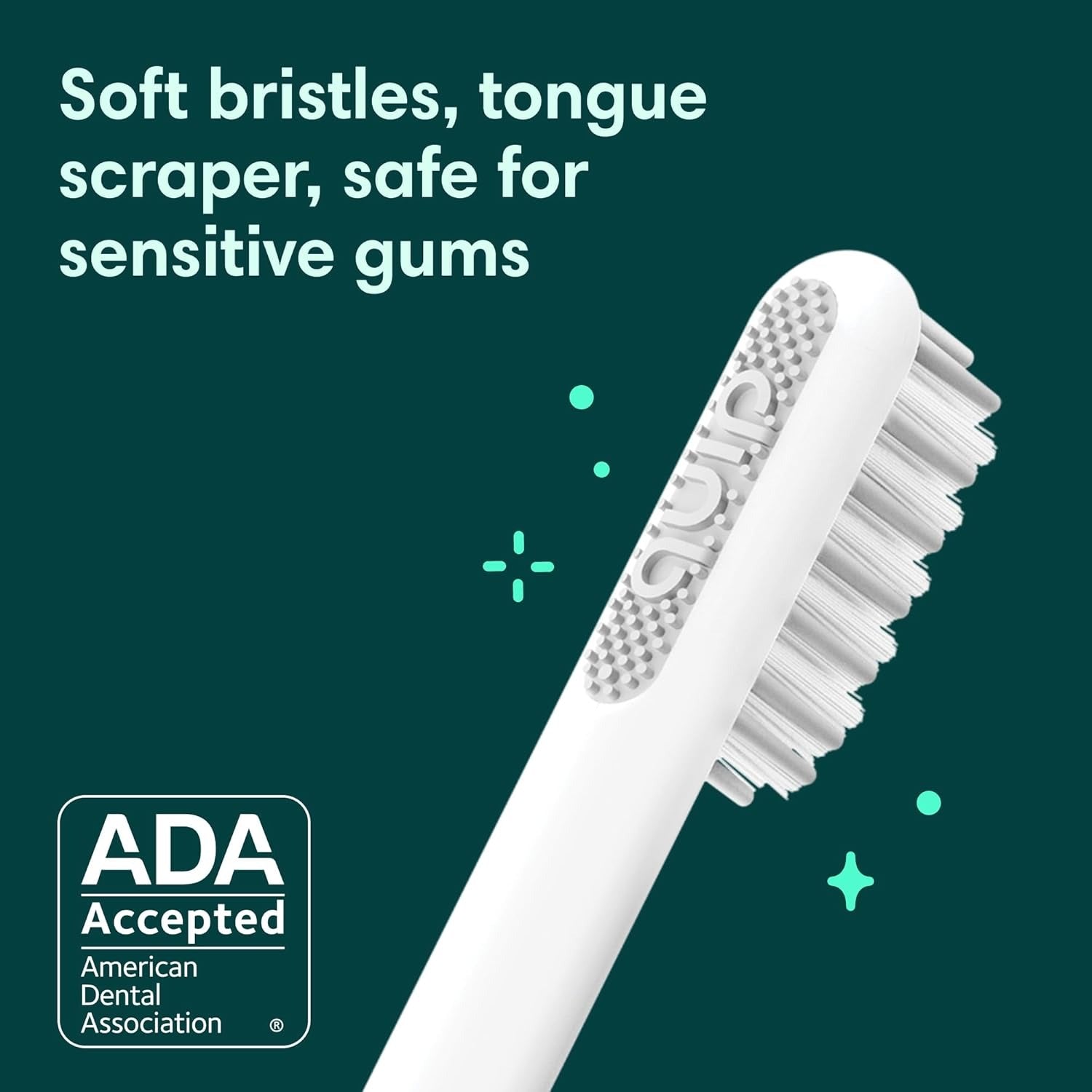 Quip Sonic Toothbrush for Adults with Timer