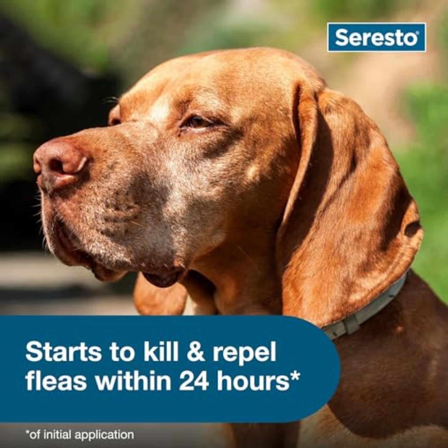 Seresto Large Dog Vet-Recommended Flea & Tick Treatment