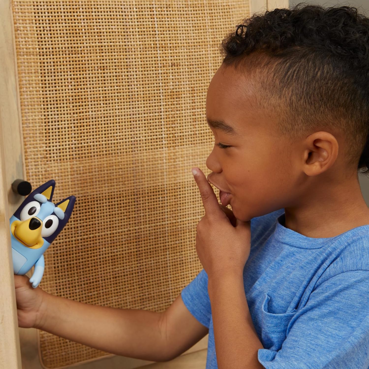 Bluey Hide & Seek Game